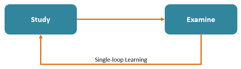 Single Loop.png